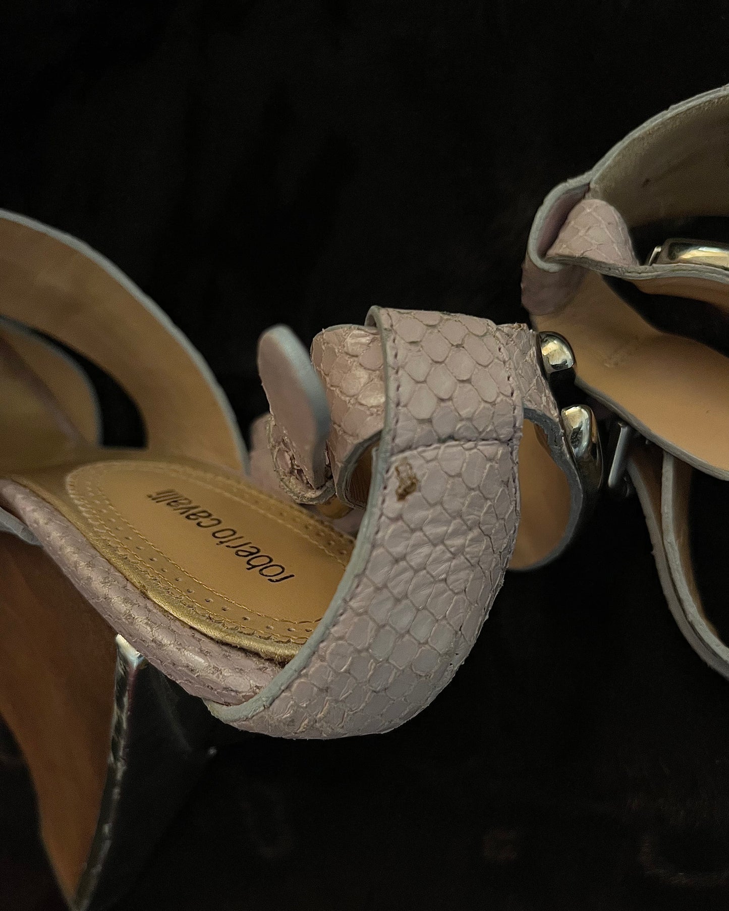 Roberto Cavalli Spring/Summer 2008 Wooden Wedge Platform Heels